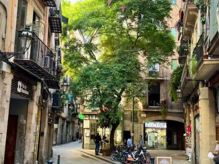 魅力El Born阁楼 – 最少入住31晚，位置优越 - My Space Barcelona 公寓