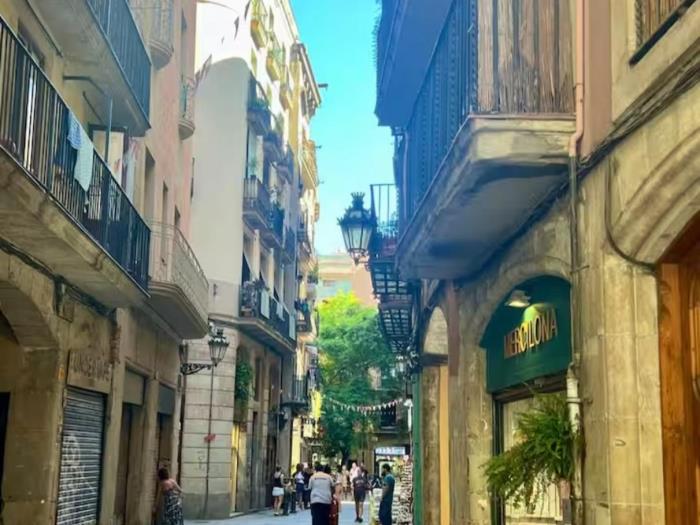 魅力El Born阁楼 – 最少入住31晚，位置优越 - My Space Barcelona 公寓