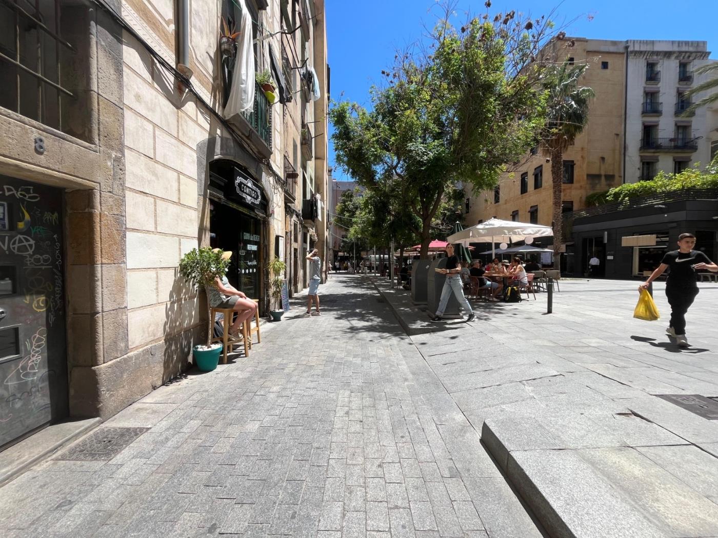 魅力El Born阁楼 – 最少入住31晚，位置优越 - My Space Barcelona 公寓