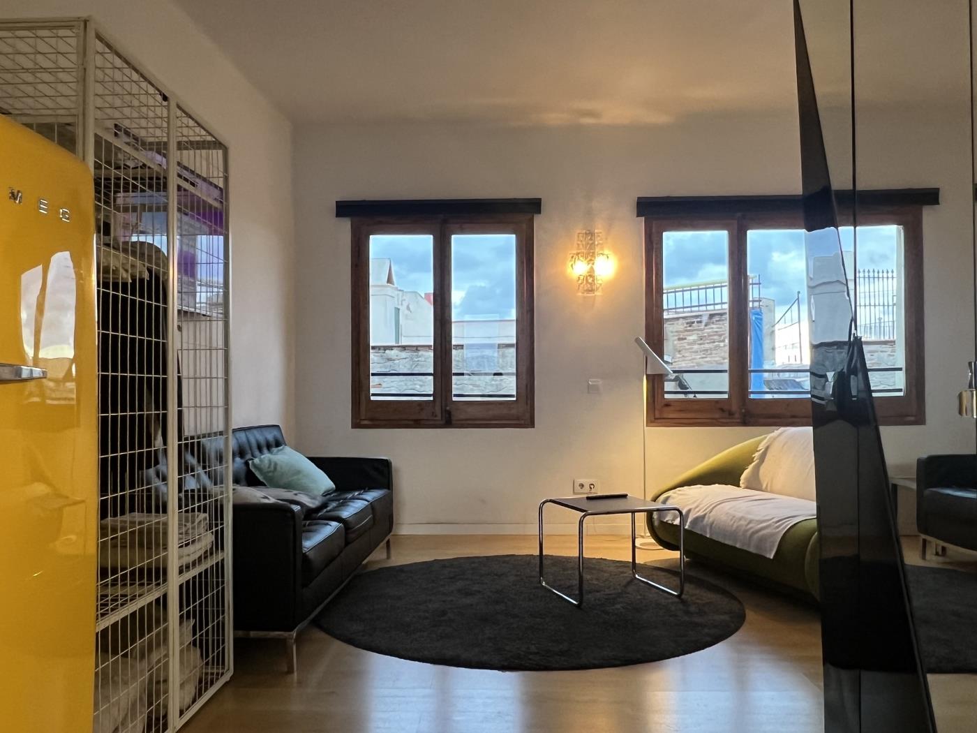 哥特区装修双卧阁楼带露台 - My Space Barcelona 公寓
